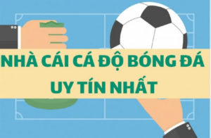 Cách đặt cược bóng đá tốt nhất cho người mới và người cũ